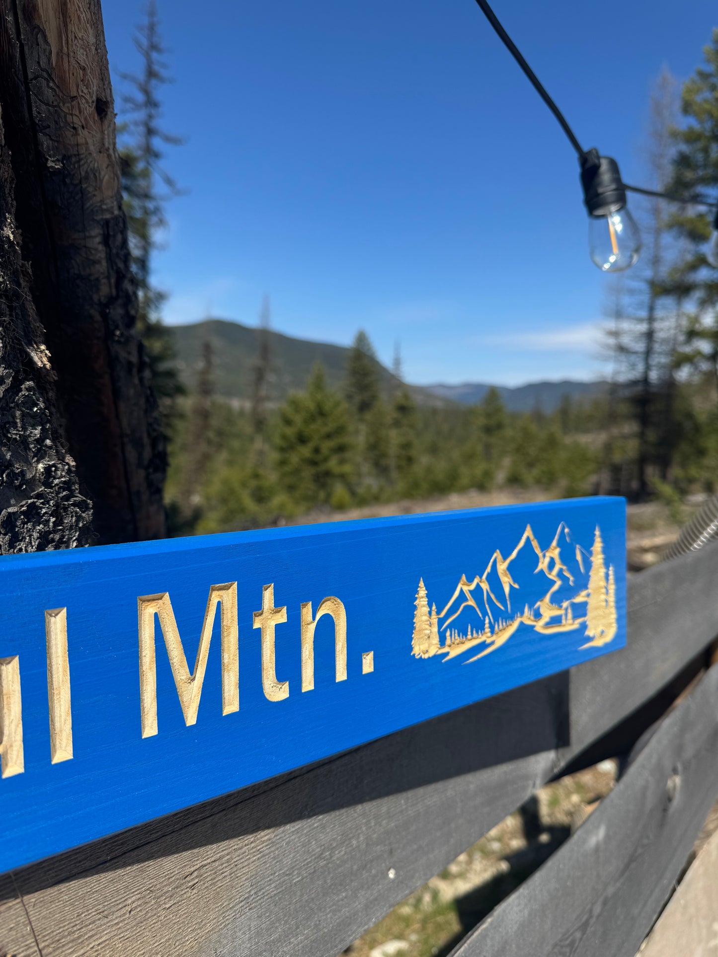 4 x 24 and larger Ski Trail Inspired personalized wood carved sign