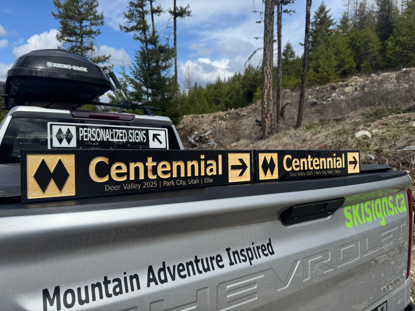 4 x 24 and larger Ski Trail Inspired personalized wood carved sign