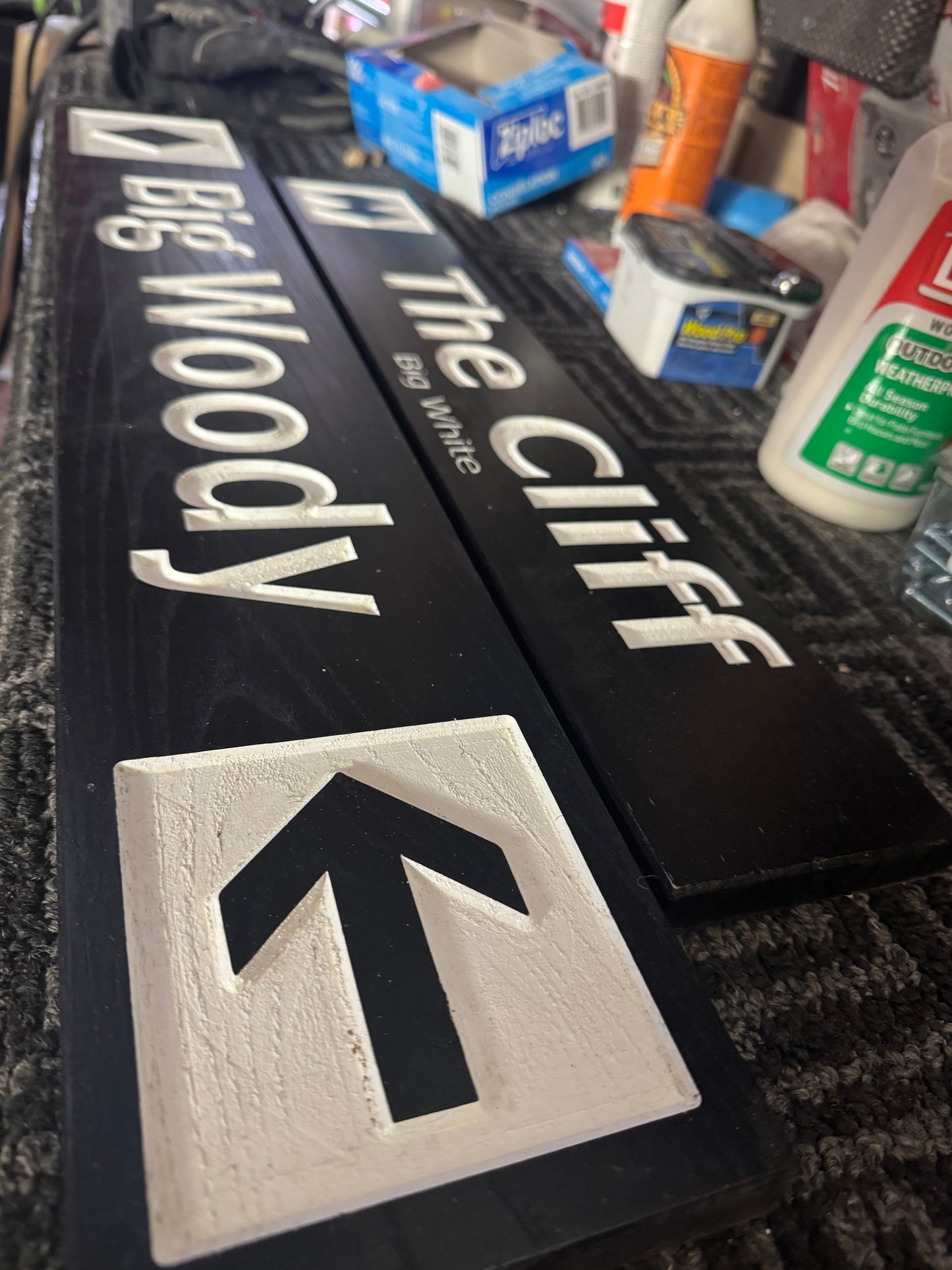 4 x 24 and larger Ski Trail Inspired personalized wood carved sign