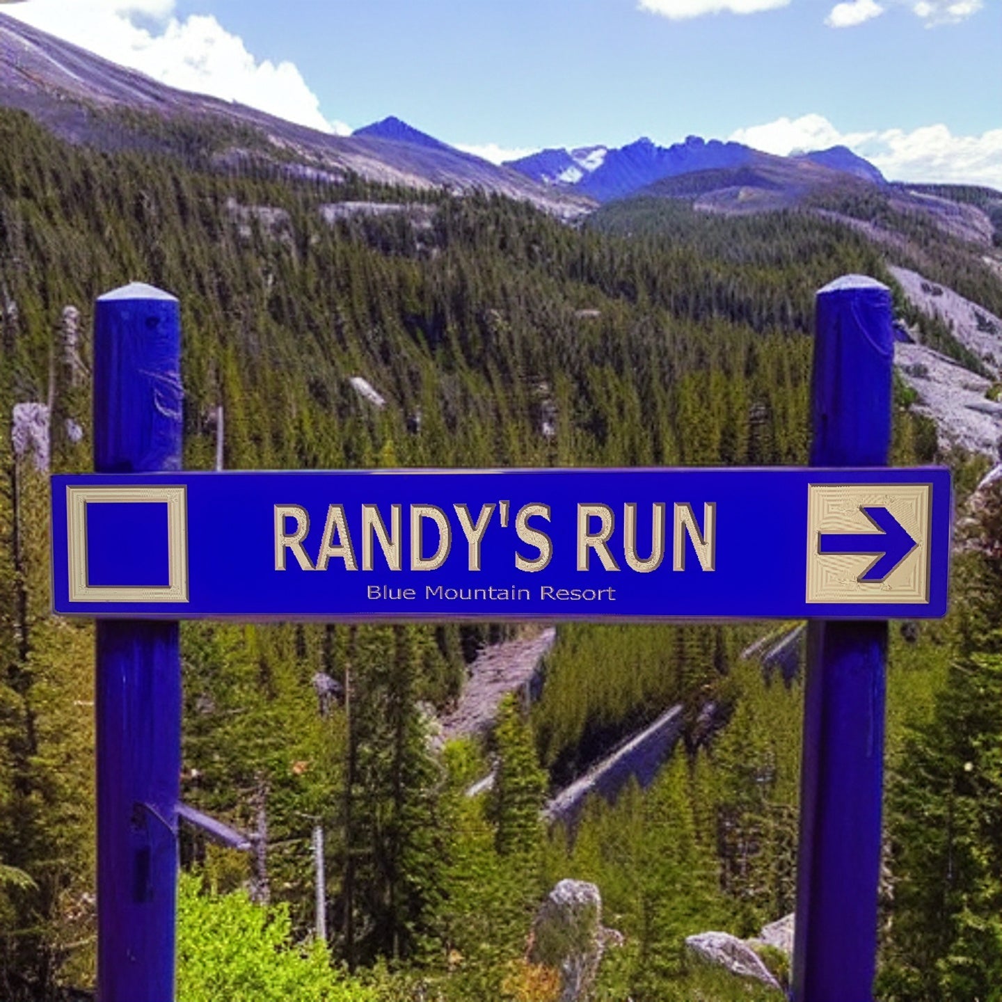 4" x 24" and larger CONTEMPORARY Ski Trail Inspired personalized wood carved sign - Advent Wood Products