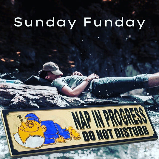 Nap In Progress, Do not disturb wood carved sign - Advent Wood Products