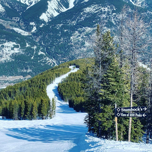 Snow-covered ski trail with pine trees, wooden directional ski sign, and mountain landscape