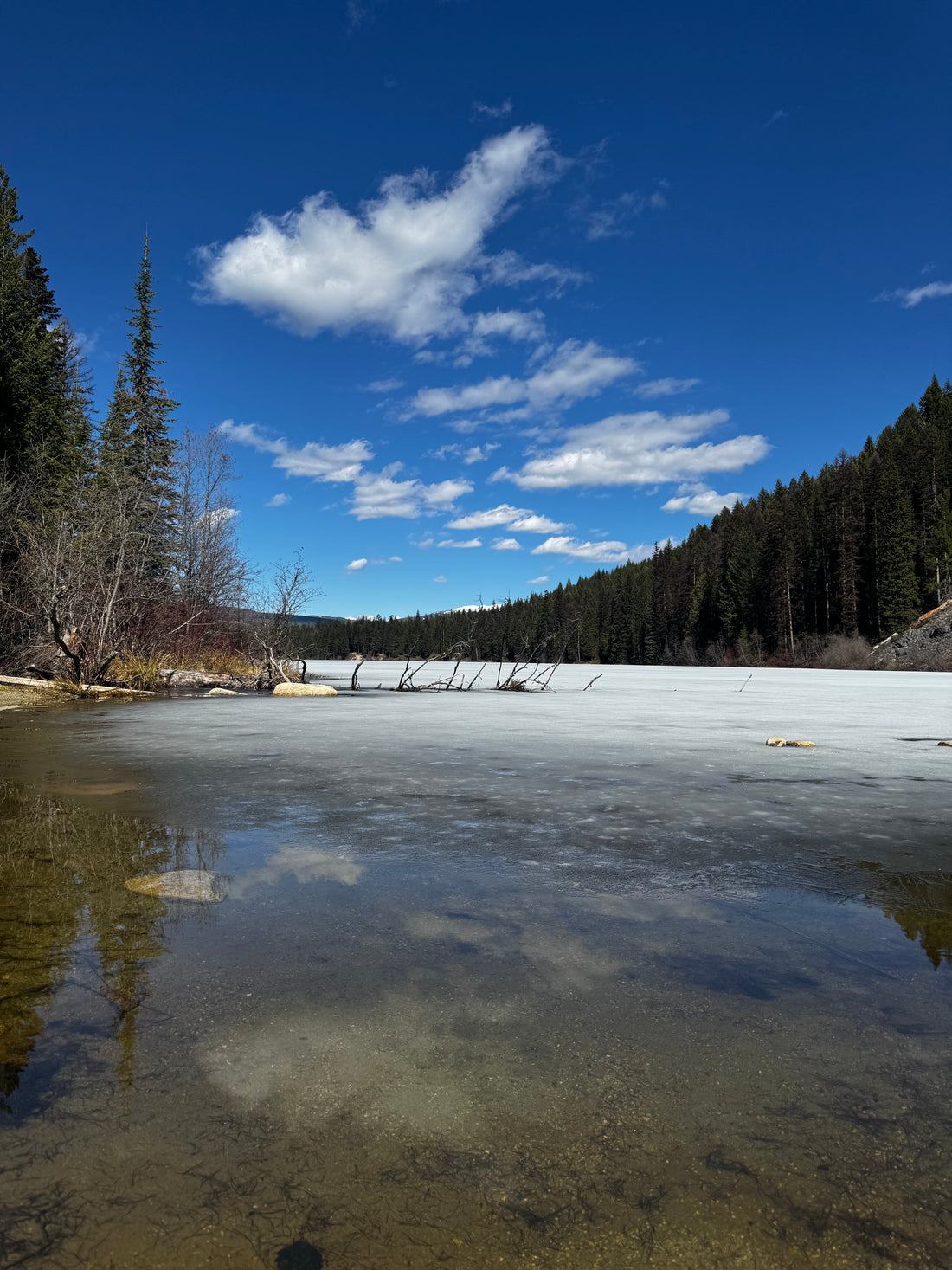 Arlington Lakes campground, BC