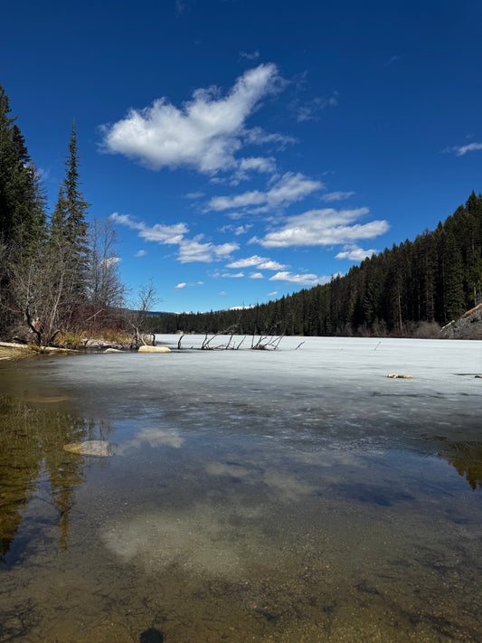 Arlington Lakes campground, BC
